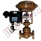 Pneumatic single seat control valve